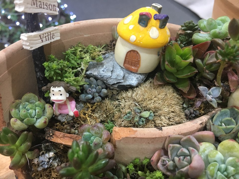 KakaoTalk_20180511_155438246.jpg
