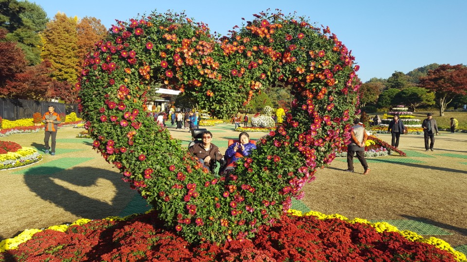 KakaoTalk_20181102_202833823.jpg